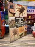  Tarantulas and Scorpions - Waybe Rankin 