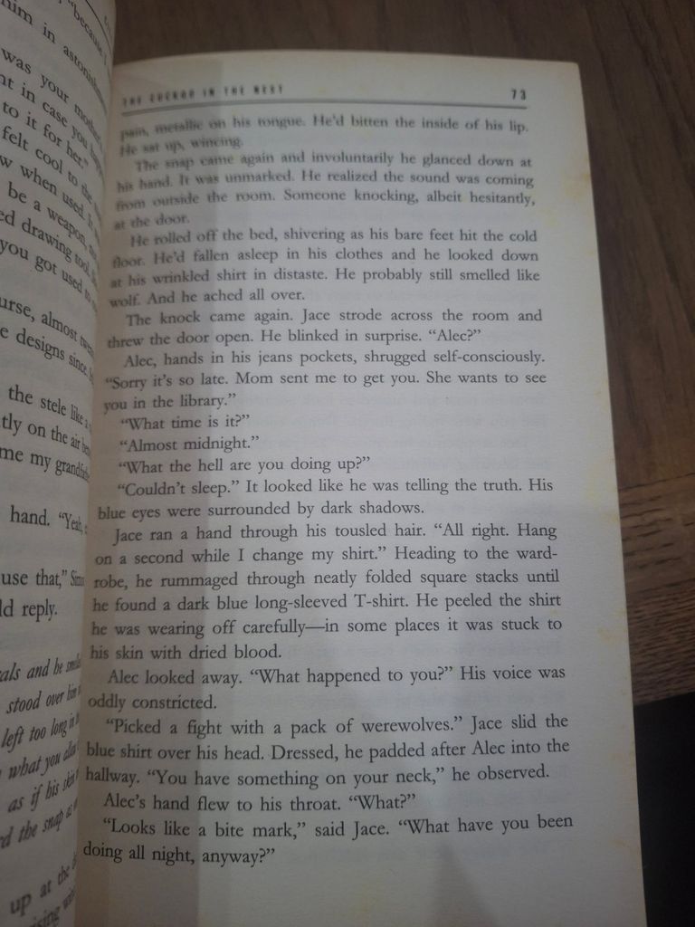 City Of Ashes - Cassandra Clare 