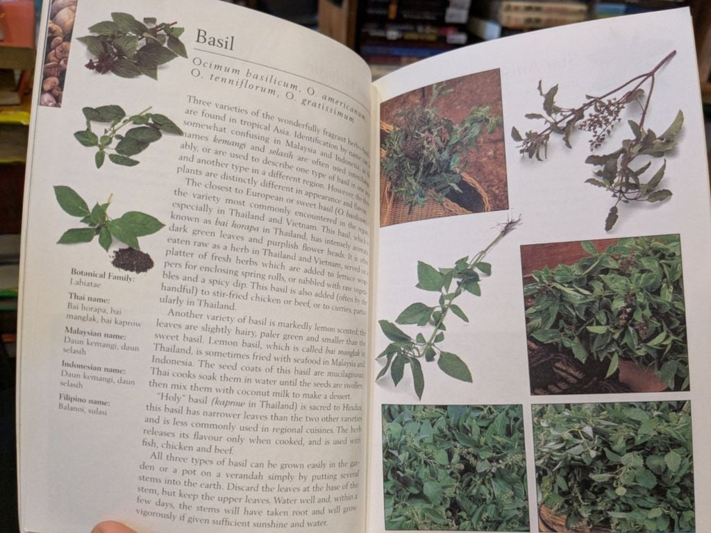  Asian Herbs & Spices 