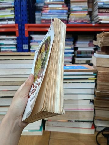  Nữ luật sư - Ngụy Nhã Hoa (Thượng Thuận dịch) 