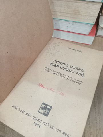  Phượng hoàng trên đường phố - Mai Anh Thảo 