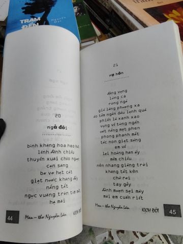  Kịch Đời - Nguyễn Lâm 
