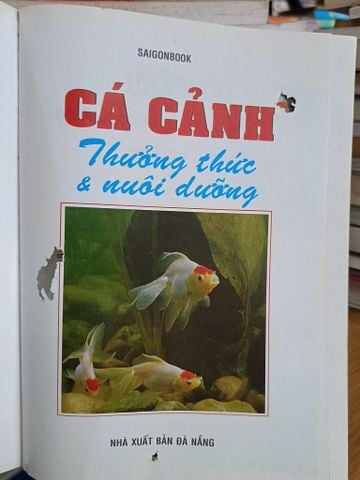 Cá Cảnh: Thưởng Thức & Nuôi Dưỡng - Saigonbook (Biên Soạn)