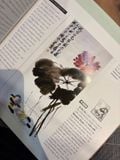  Oriental Painting Course - Wang Jia Nan, Cai Xiaoli, Dawn Young 