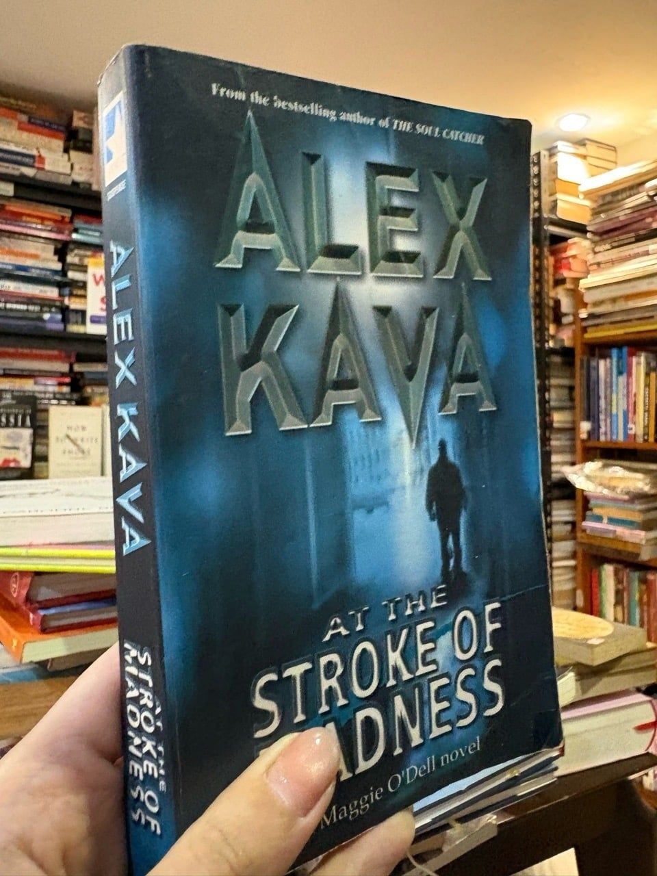  At the stroke of madness - Alex Kava 