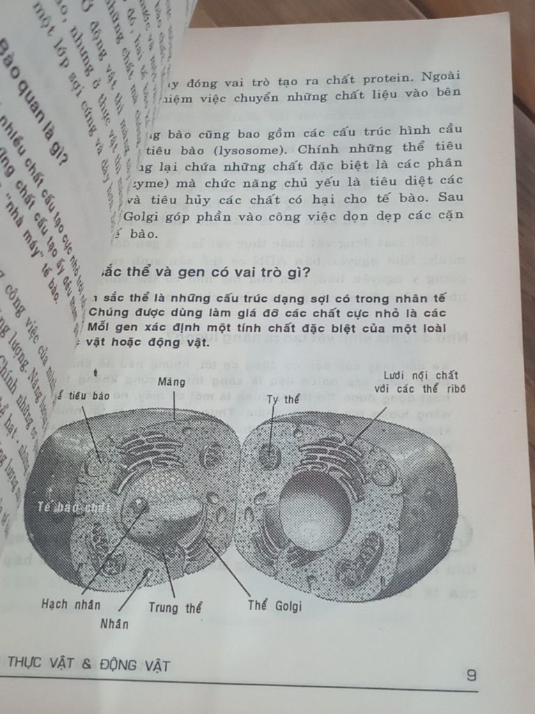  101 Câu Hỏi Đáp Khoa Học: Yếu Huyệt của Các Võ Sĩ Ở Đâu? - Đặng Thiền Mẫn Dịch 