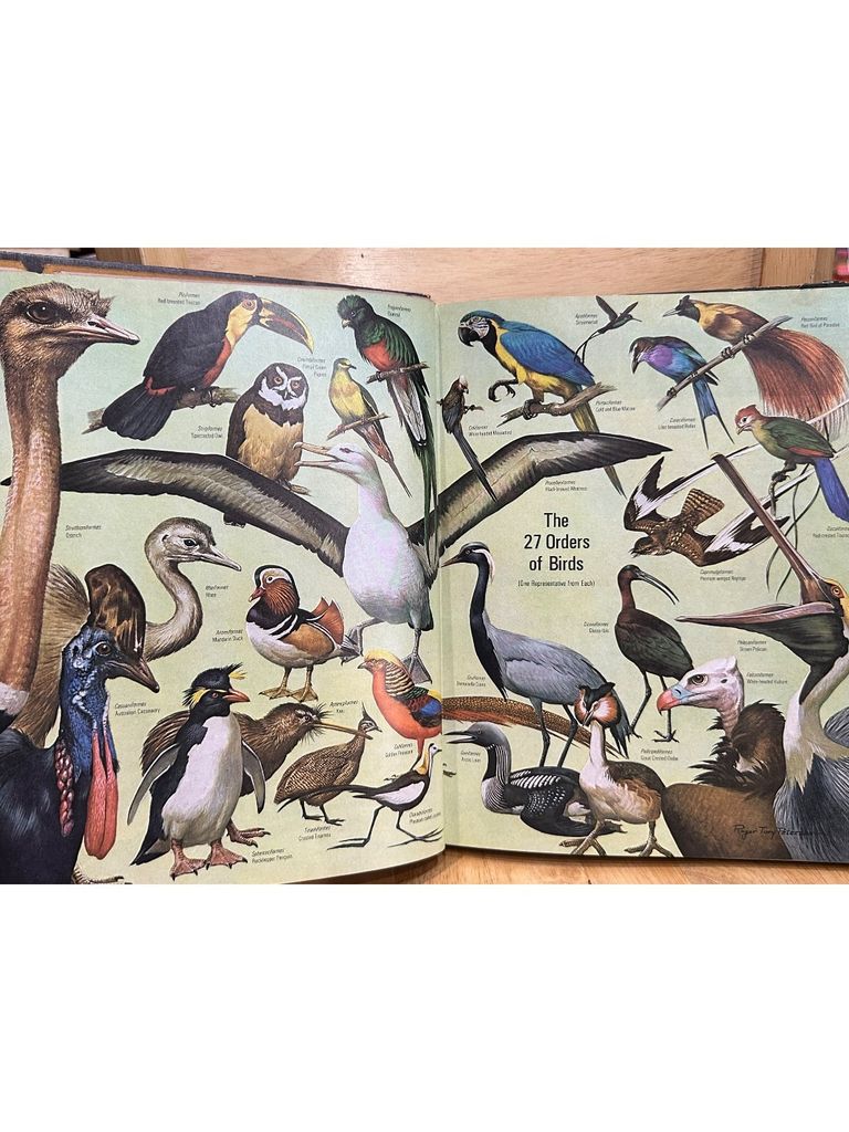  LIFE Nature Library : The Birds 