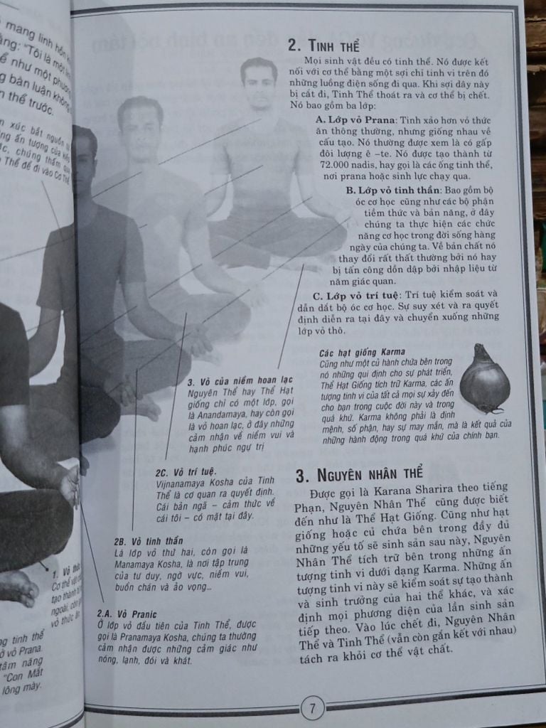  Yoga Tinh Thần & Thể Chất - Minh Quang, Thanh Châu Tổng Hợp và Biên Soạn 