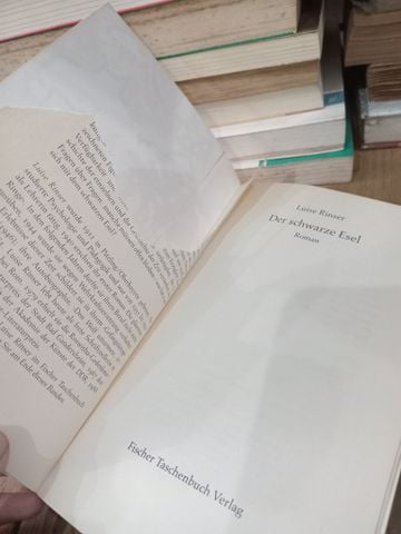  Der schwarze Esel - Luise Rinser 