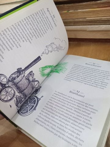  365 Mots Nouveaux Expliqués - Paul Desalmand, Yves Stalloni 