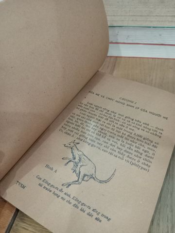  Trông vào sữa mẹ - BS. Nguyễn Lân Đính 