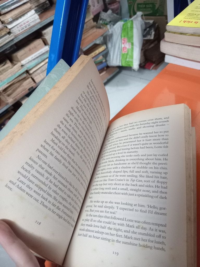  Stolen - Lesley Pearse 
