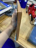  Trần Tế Xương - PTS. Hồ Sĩ Hiệp 