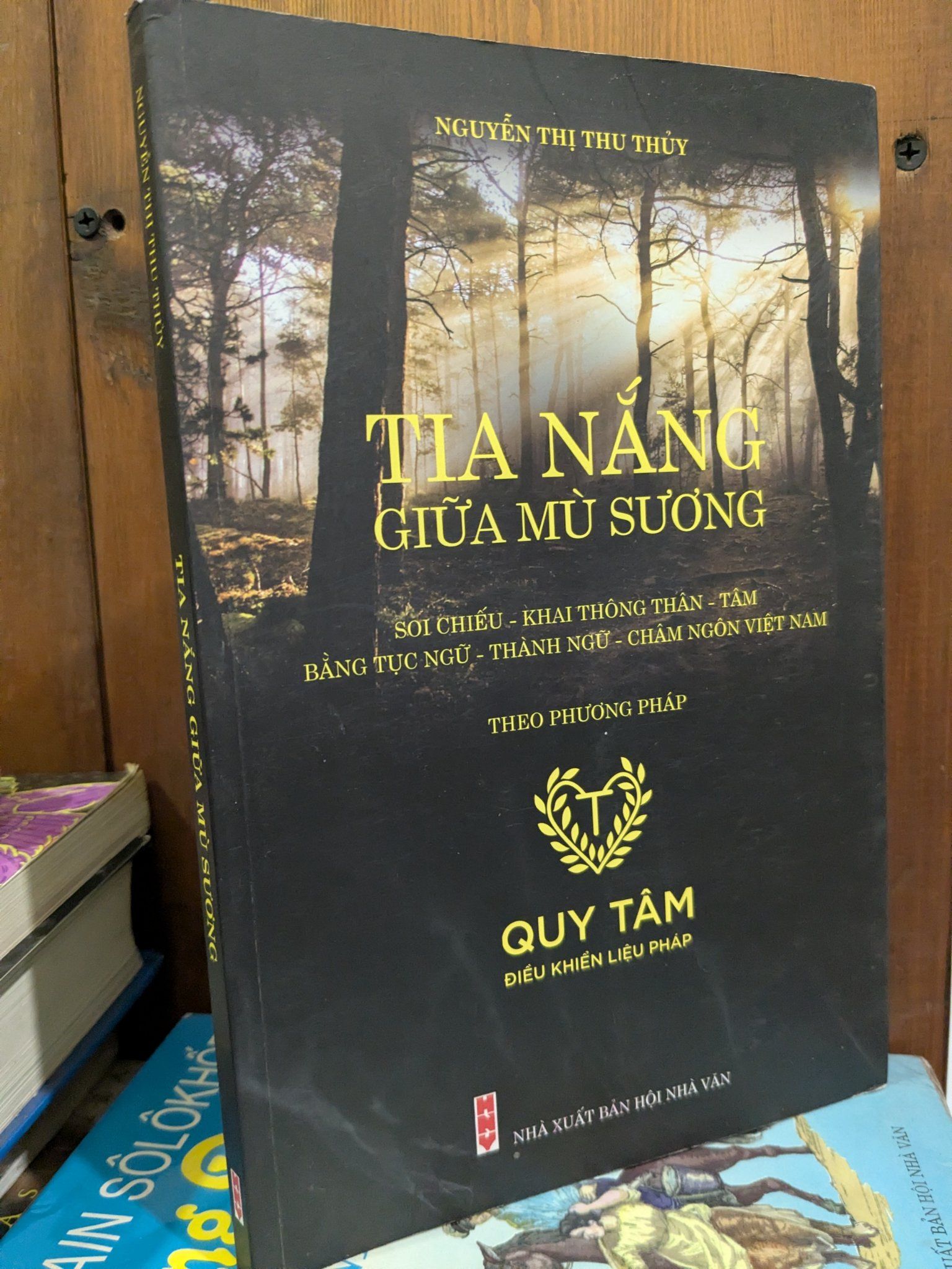  Tia nắng giữa mù sương - Nguyễn Thị Thu Thủy 