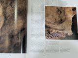  Lascaux le Geste,l'espace Et le Temps 