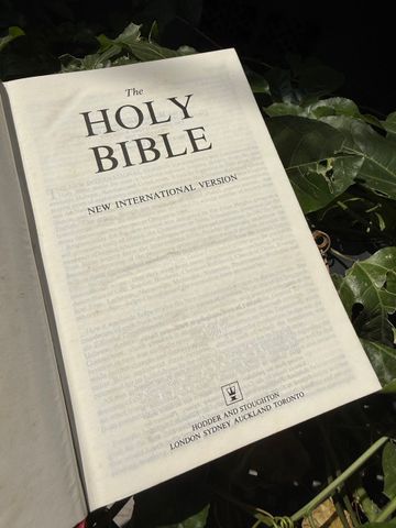  Holy Bible: New International Version 
