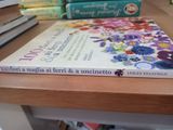  100 Fiori a Maglia Ai Ferri & a Uncinetto - Lesley Stanfield 