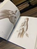  Anatomy Drawing School Animal - Andras Szunyoghy, Gyorgy Feher 