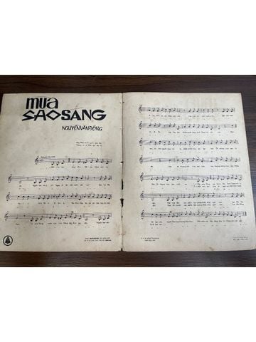 Mùa sao băng - Nguyễn Văn Đông