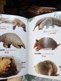  Từ Điển Bằng Hình: Thế Giới Động Vật - Hải Phạm 