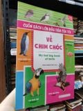  Cuốn Sách Lớn Đầu Tiên Của Tôi: Về Chim Chóc - Nhóm Dolphin 