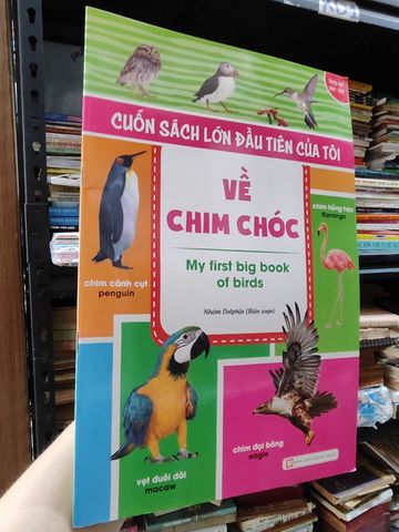 Cuốn Sách Lớn Đầu Tiên Của Tôi: Về Chim Chóc - Nhóm Dolphin 