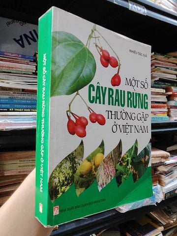  Một Số Cây Rau Rừng Thường Gặp Ở Việt Nam - Nhiều Tác Giả 