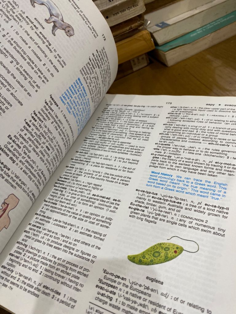  Webster’s Basic English Dictionary 