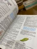 Webster’s Basic English Dictionary 