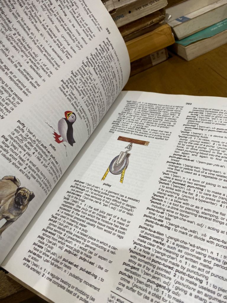  Webster’s Basic English Dictionary 