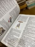  Webster’s Basic English Dictionary 
