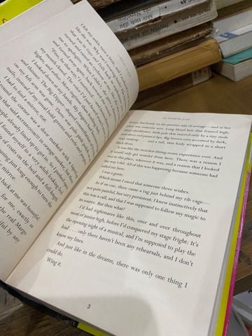  The Fourth Wish - Lindsay Ribar 