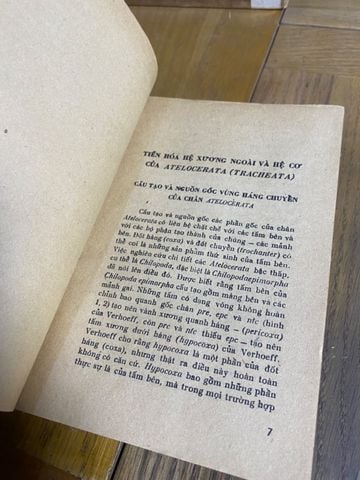  Thuyết Tiến Hoá Hình Thái Côn Trùng - E. G. Bekker 