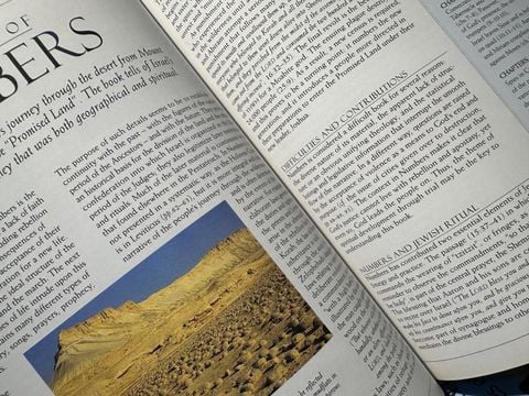  The Complete Bible Handbook - John Bowker 