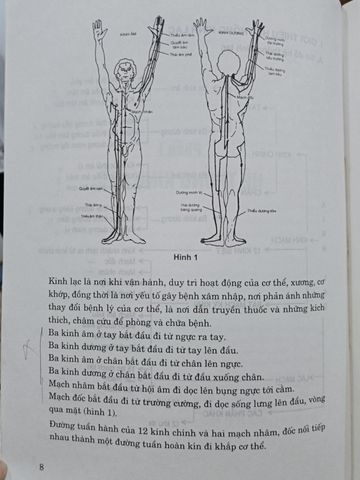 Xoa Bóp Bấm Huyệt