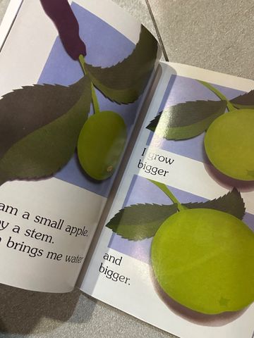I Am An Apple – Jean Marzollo