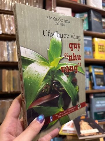 Cây Lược Vàng Quý Như Vàng – Kim Quốc Hoa