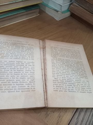  L'Ange Combattant – Pearl Buck 