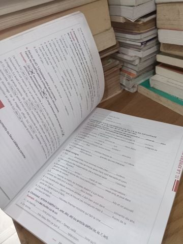  Grammaire Expliquée Du Français: Exercices Niveau Intermédiaire – Sylvie Poisson Quinton, Reine Mimran, Michèle Mahéo Le Coadic 