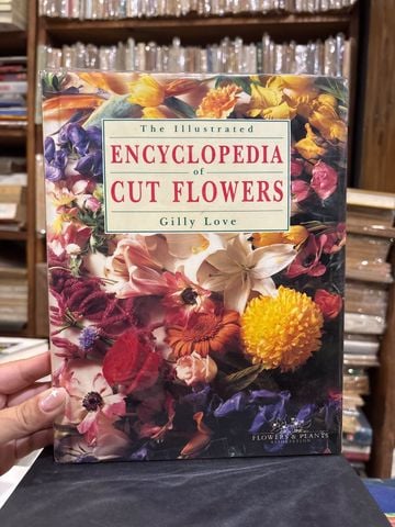  The Illustrated Encyclopedia Of Cut Flowers – Gilly Love 