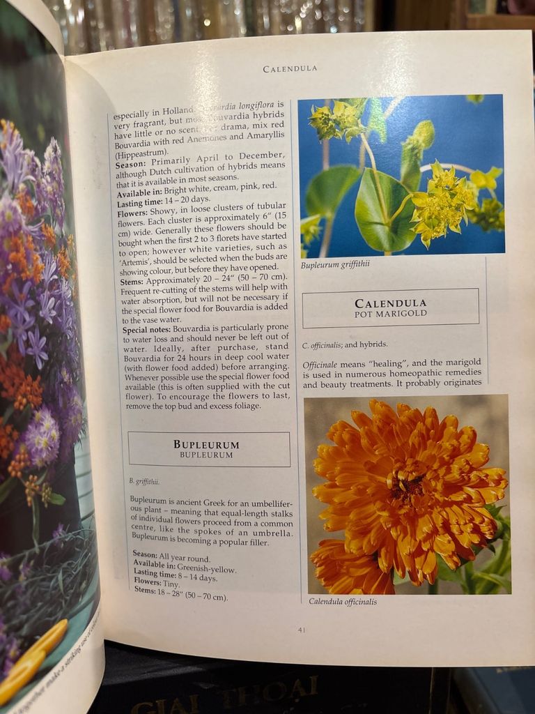  The Illustrated Encyclopedia Of Cut Flowers – Gilly Love 