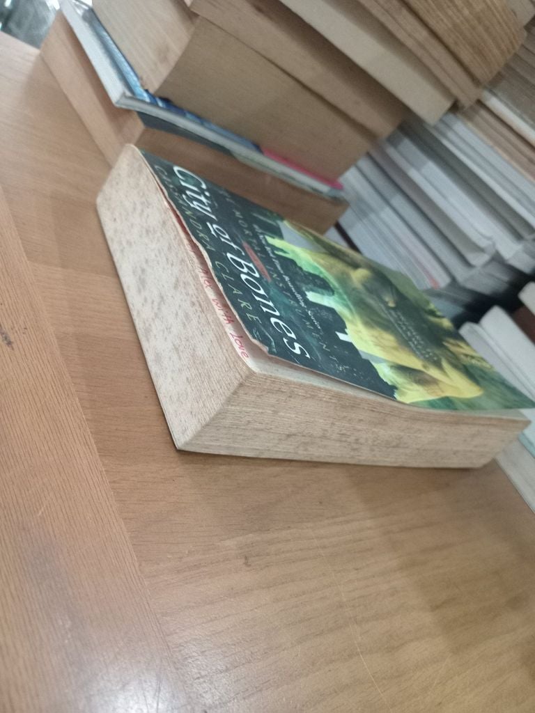  City Of Bones – Cassandra Clare 