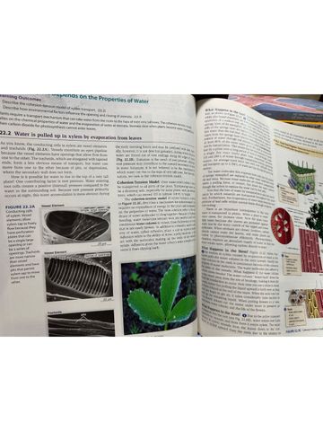  Concepts Of Biology – Sylvia S. Mader 