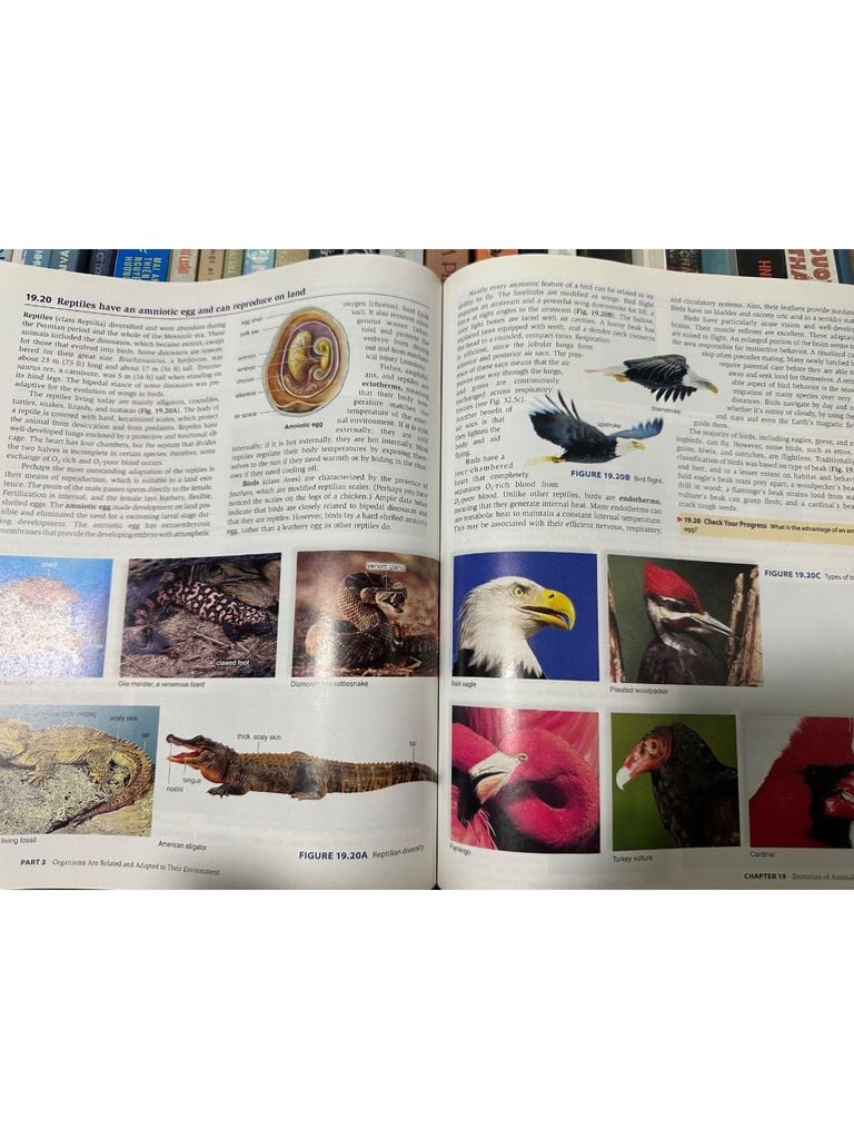  Concepts Of Biology – Sylvia S. Mader 