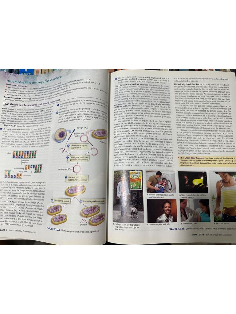  Concepts Of Biology – Sylvia S. Mader 