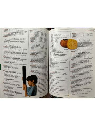  Scholastic : Children'S Dictionary 