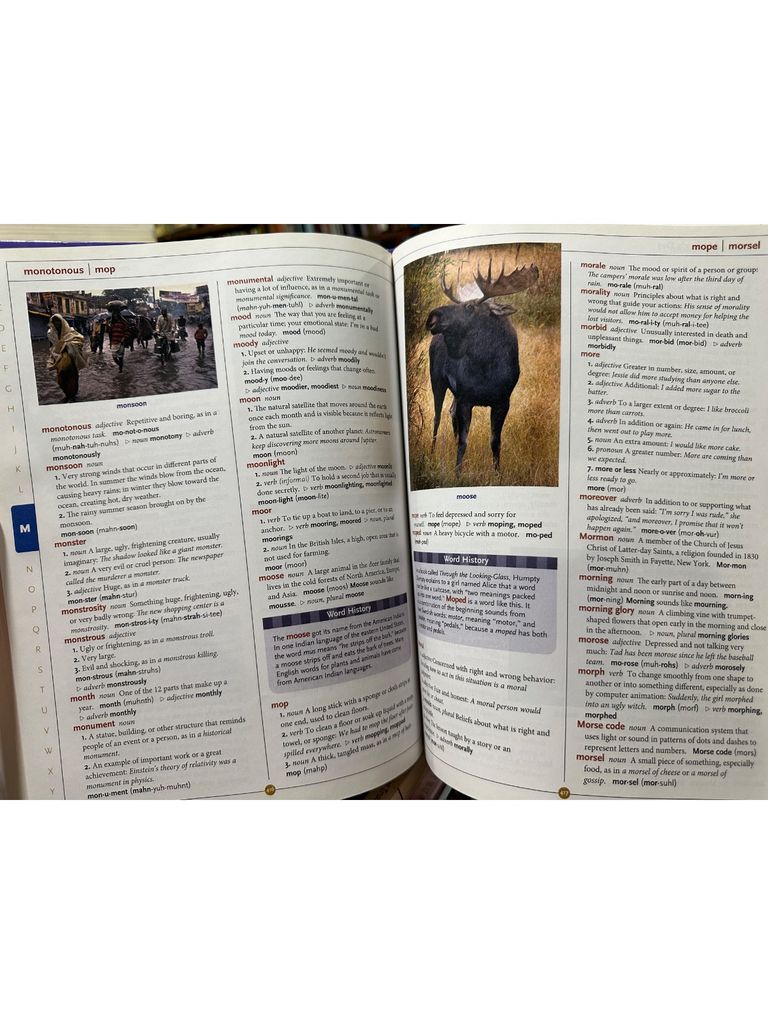  Scholastic : Children'S Dictionary 