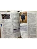 Scholastic : Children'S Dictionary 