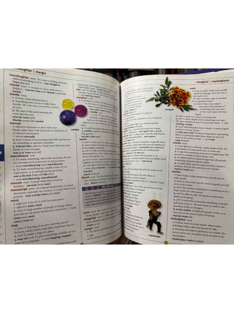  Scholastic : Children'S Dictionary 