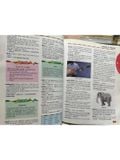  Webster'S New World : Children'S Dictionary 